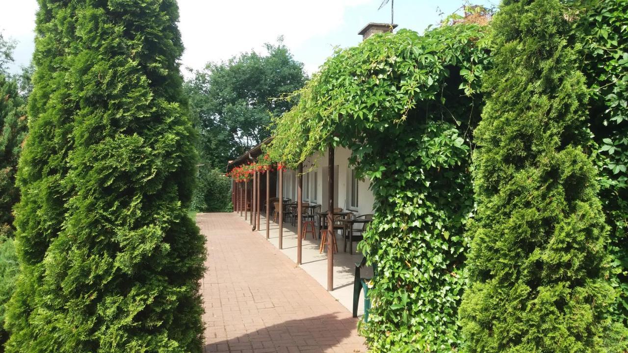 Pokoje Goscinne Jontek Homestay