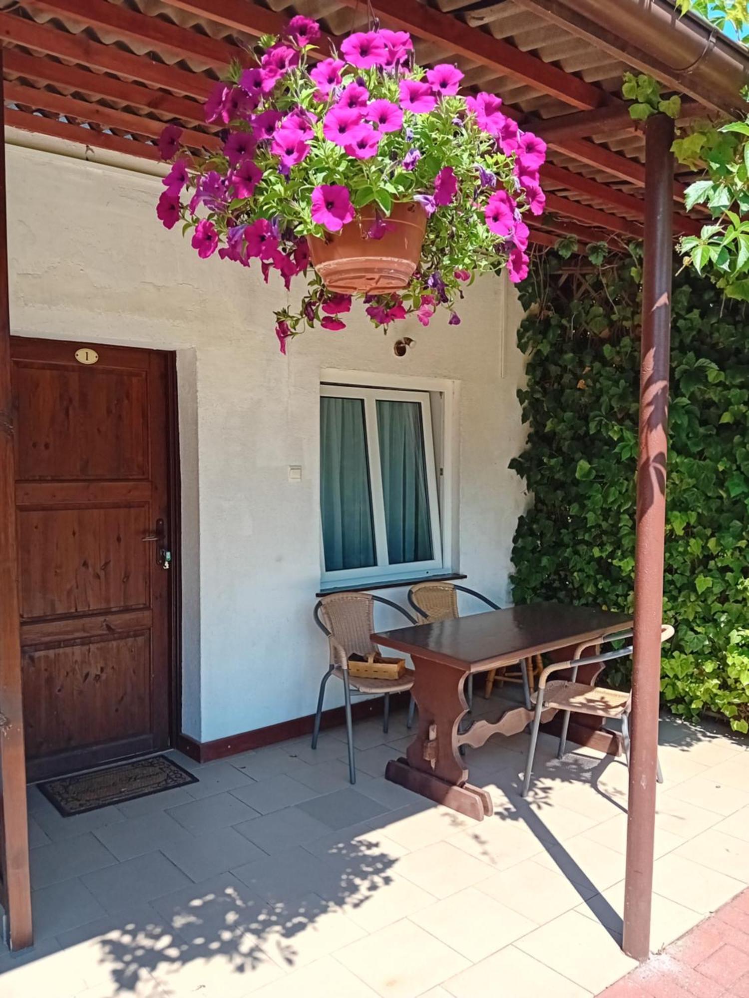 Homestay Pokoje Goscinne Jontek Stegna (Pomerania)